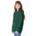 Youth 7.8 oz. EcoSmart® 50/50 Pullover Hooded Sweatshirt