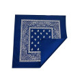 Bandanna