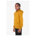 Youth Sponge Fleece Pullover Hooded Sweatshirt