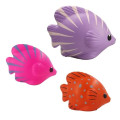 Tropical Fish Stress Ball