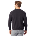 Unisex Champ Eco-Fleece Solid Sweatshirt