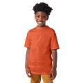 Youth Beefy-T®