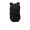 The North Face Aurora II Backpack.