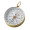 Open-Faced Brass Colored Compass