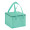 6 Pack Cooler Bag - Polyester Insulated