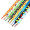 Shoelace