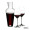 RIEDEL Mosel Decanter & Extreme Wine Set