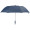 Pop-up Umbrella with Two Folds