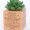 Wooden Flower Pot 