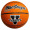 Full Size Basketball (Size 7)