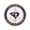 Zinc 2" Challenge Coin Gold Plating
