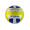 Volleyball Standard Size 5 - This ships DEFLATED.