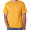 Hanes 5.5 oz Preshrunk 50:50 Polyester/ Cotton T-shirts