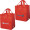 Non-Woven Carry All Bag