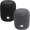 JBL Link Music Smart Speaker