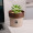 Regen Eco Planting Pot
