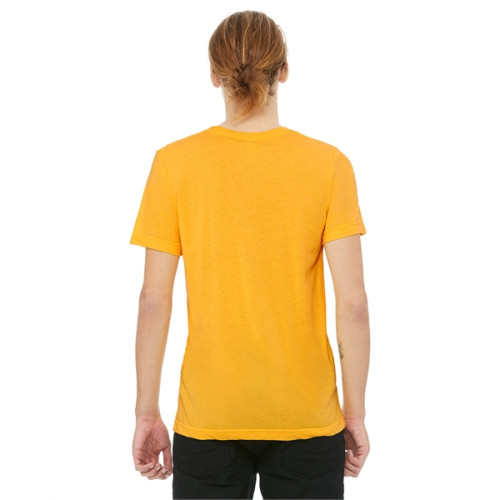 Unisex Triblend T-Shirt