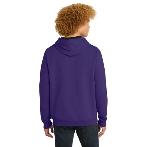 District The Concert Fleece Hoodie.