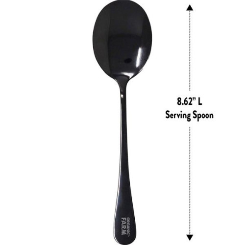 Eclipse Stainless Serving Spoon