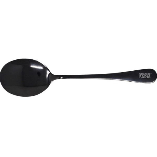Eclipse Stainless Serving Spoon
