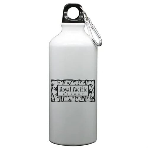 Aluminum Bottle 22 Oz