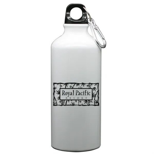 Aluminum Bottle 22 Oz
