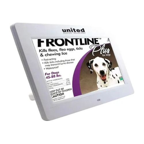 7" LCD Digital Photo Frame with Glossy Finish