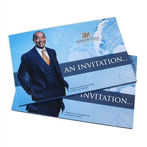 VidU 4.5 HD Video Mailer & Brochure with Full Color Printing