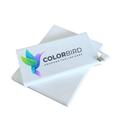 SlenderLite 2500mAh Credit Card Size Charger