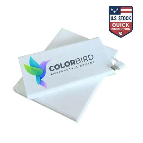 SlenderLite 2500mAh Credit Card Size Charger