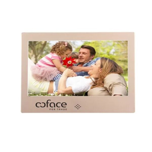 7" LCD Digital Photo Frame W/Brushed Metal Finish