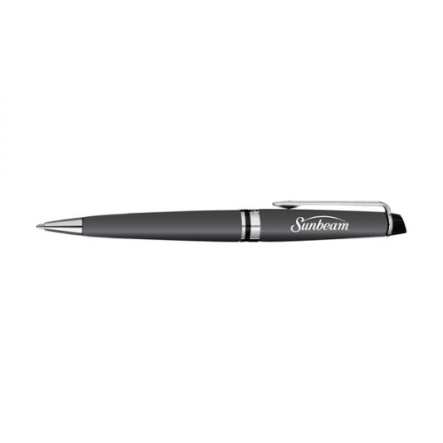 Waterman Expert Ballpoint - Matte