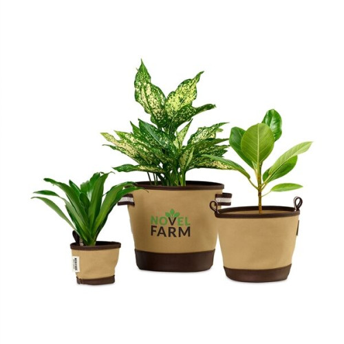 Heritage Supply Plant, Grow and Store Trio of Pots - dune/13 " x 6 "