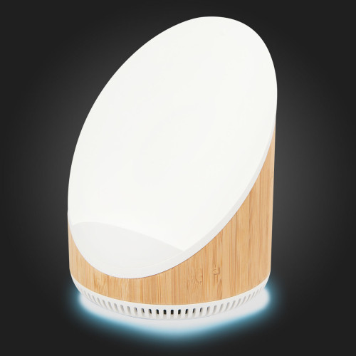 Edgewood Bamboo Speaker & Wireless Charger