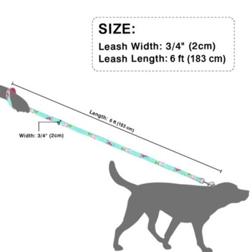 Dye-Sublimation Dog Leash with Adjustable Collar & Carabiner
