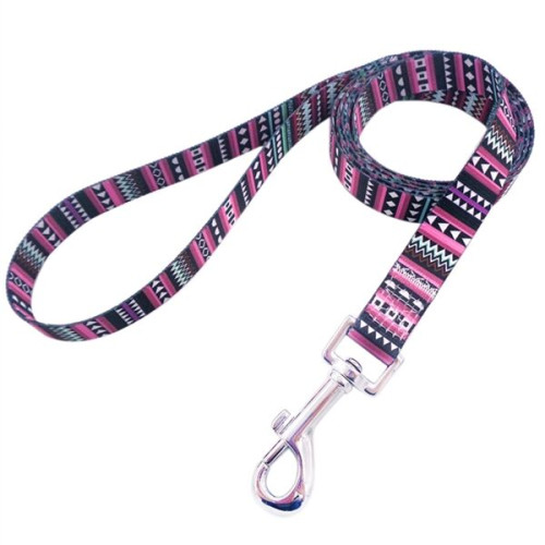Dye-Sublimation Dog Leash with Adjustable Collar & Carabiner