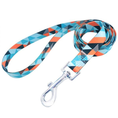 Dye-Sublimation Dog Leash with Adjustable Collar & Carabiner