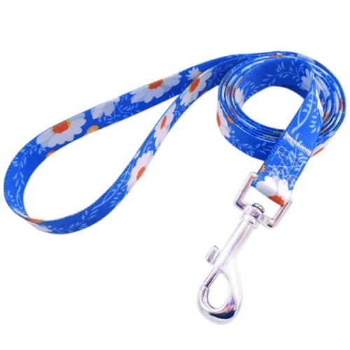 Dye-Sublimation Dog Leash with Adjustable Collar & Carabiner