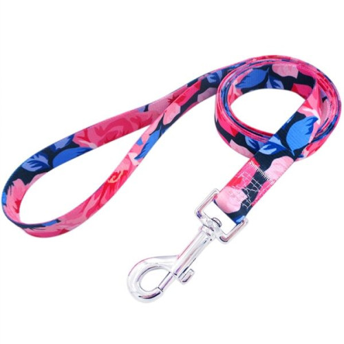 Dye-Sublimation Dog Leash with Adjustable Collar & Carabiner