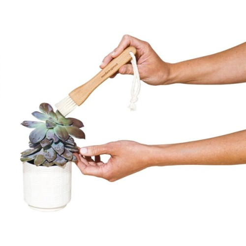 Modern Sprout® Plant Parent Care Kit