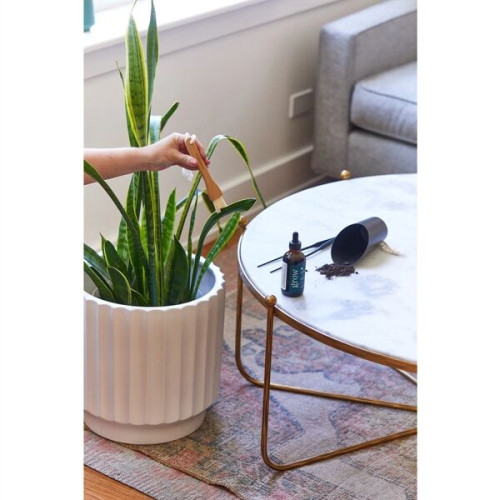 Modern Sprout® Plant Parent Care Kit