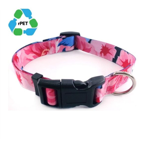 1"W x 26"L rPET Sublimation Pet Collars w/ Buckle Release