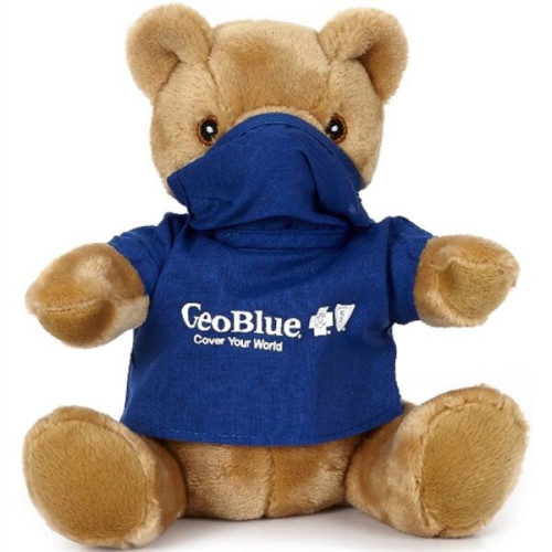 10" Surgical/Scrub Bear