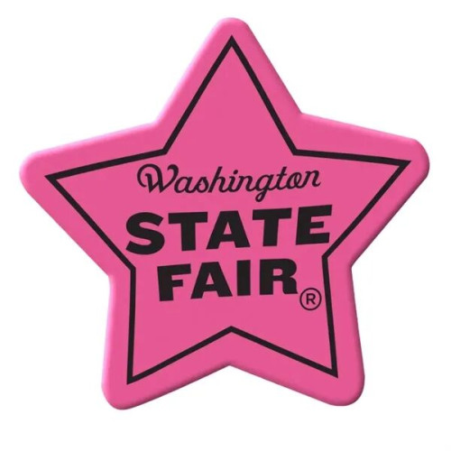 Star Die Cut Eraser