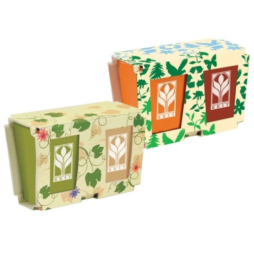 Promo Planter, 2-Pack Planter Set