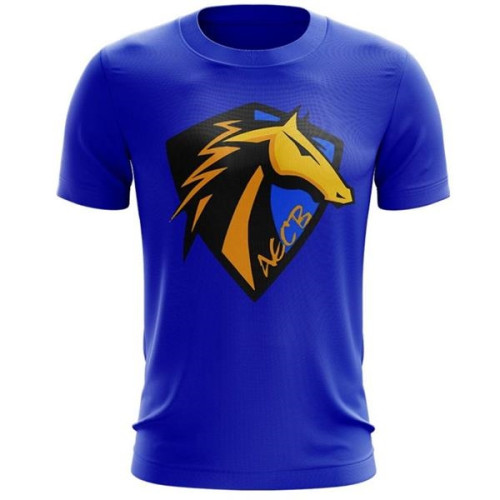 Unisex 160 GSM Birdseye Mesh Sublimated Short Sleeve T-Shirt