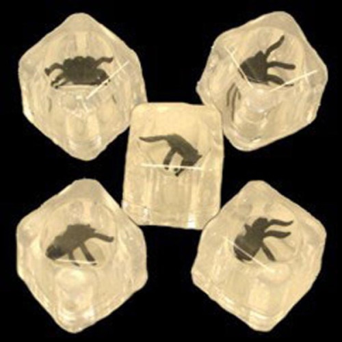 Bugs in a Plastic Ice Cube