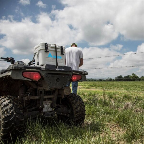 MAMMOTH® CRUISER 20 COOLER