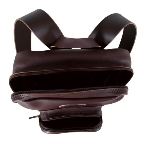 Duluth Pack Leather Standard Backpack