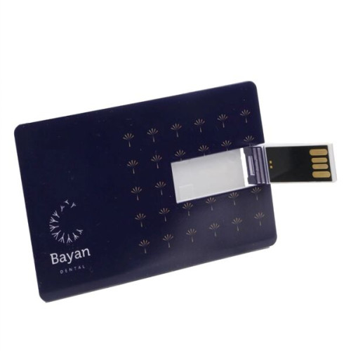 USA Made Credit Card USB Drive